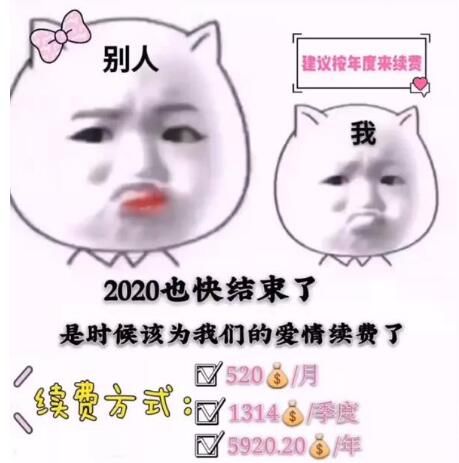 2020也快结束了是时候该为我们的爱情续费了表情包    最近抖音上又