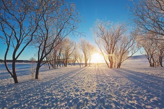 下雪天发朋友圈的精美句子,下雪天高清无水印图片[多图]