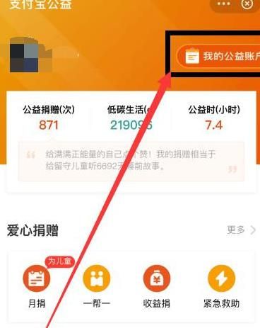 支付宝怎么查看我的公益账户多图