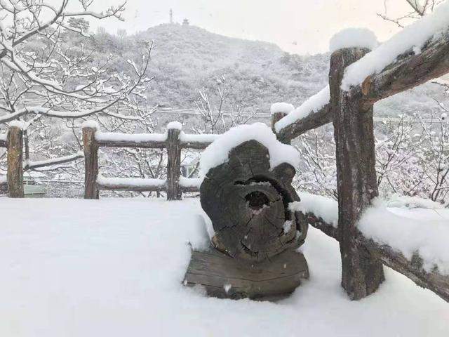 北京2021年第一场雪图片大全,北京地面开始见白[多图]