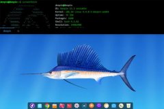 深度终端下载2.0正式版