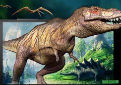 风暴影视播放器下载2018官方免费下载