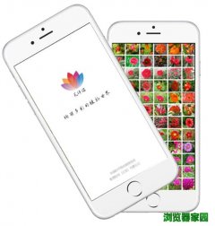 花伴侣植物扫描识别软件下载2018