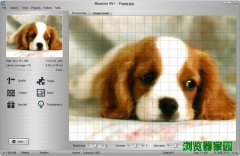 Mosaizer XV电脑图片处理软件免费版v15