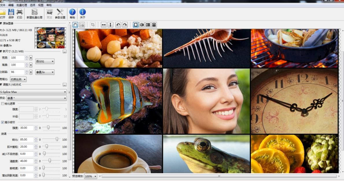 photozoom图片无损放大软件mac绿色免费版下载