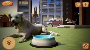 我的虚拟宠物世界游戏官方安卓版图片2