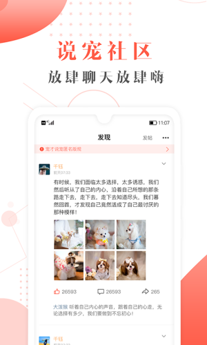 宠才宝app官方下载图片1