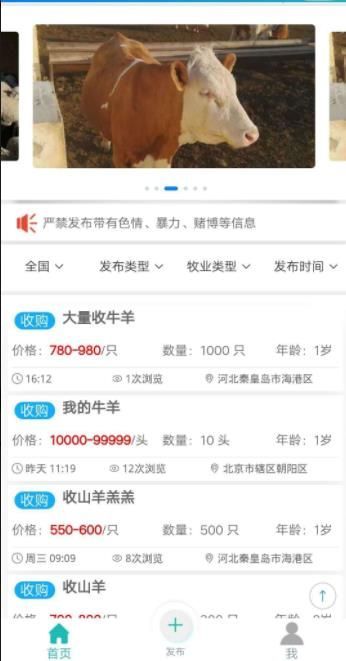 青青草原app苹果图3