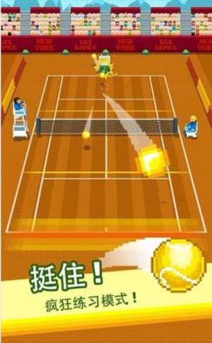 网球摔跤游戏安卓手机版（Tennis Clash）图片1