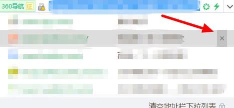 360浏览器如何删除地址栏中的 [多图]图片3