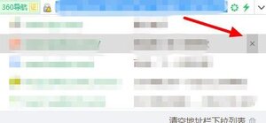360浏览器如何删除地址栏中的网址图片3
