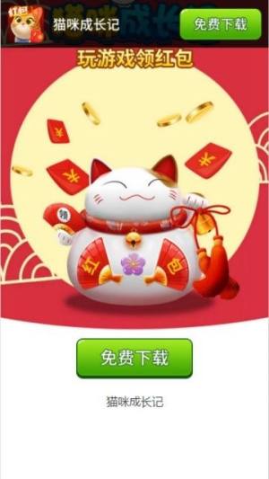 猫咪成长记游戏安卓红包版图片1