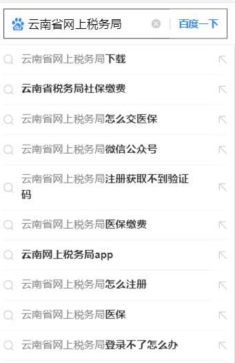 云南网上税务局app图3