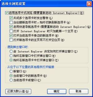 internet explorer7.0图1