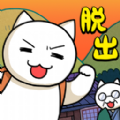 扑家逃脱游戏猫与秘宝游戏安卓官方版 v1.01