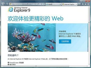 ie9浏览器电脑版官方最新下载图片1