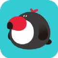 犀鸟公考app最新官方版手机教育平台 v5.1.0