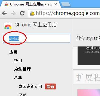 Chrome浏览器可以修改特定页面背景色吗？Chrome浏览器修改特定页面背景色的方法[多图]图片2