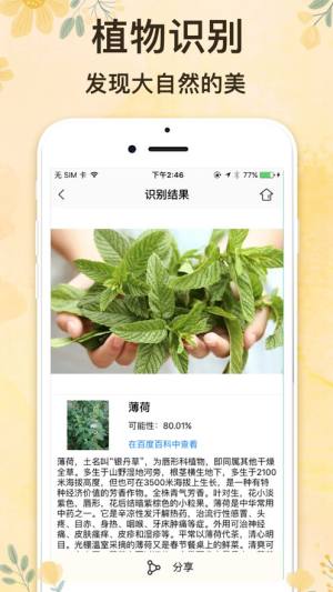 拍照识物app图2