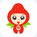 草莓转app官方手机版下载 v1.0.1