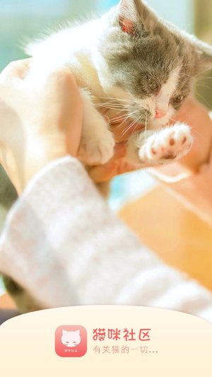 猫咪官网社区入口app官方网站最新下载图片1