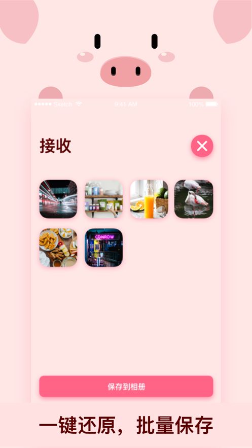 小猪快传手机官方app下载图片1