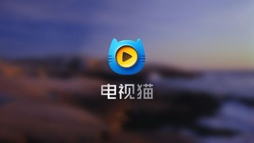 云南卫视电视猫图片
