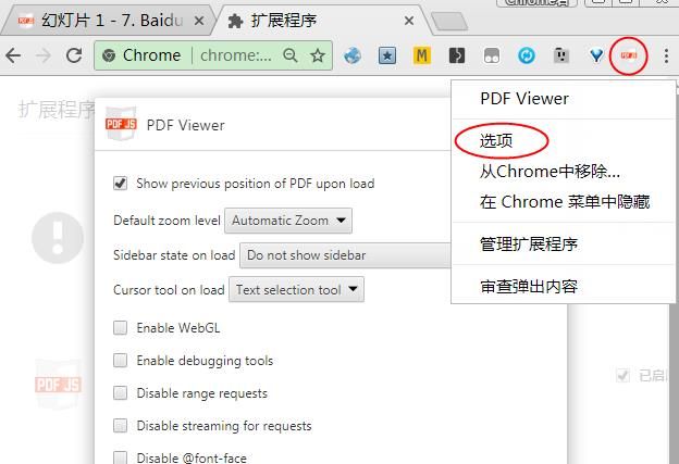 Chrome浏览器如何安装与使用PDFViewer扩展程序[多图]图片5