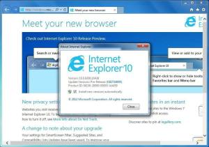 internet explorer8.0官方版图3