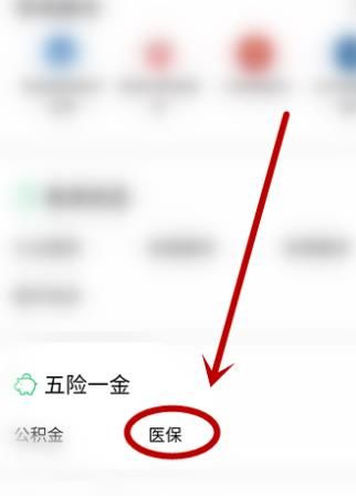 如何在微信上申请自己的医保电子凭证？怎样激活[多图]图片5