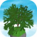 空闲树游戏官方安卓版 v0.100