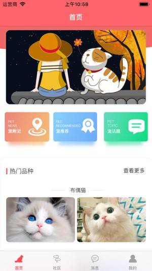 亲爱的猫咪app图1