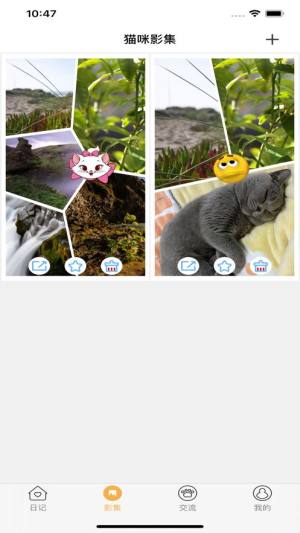 宠猫日记app图3