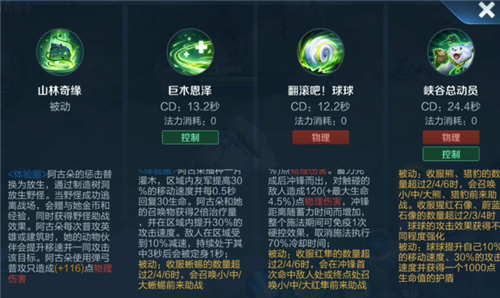 王者荣耀阿古朵极限输出装备怎么出？方案推荐[视频][多图]图片4