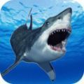 鲨鱼的恐怖袭击游戏安卓版 v1