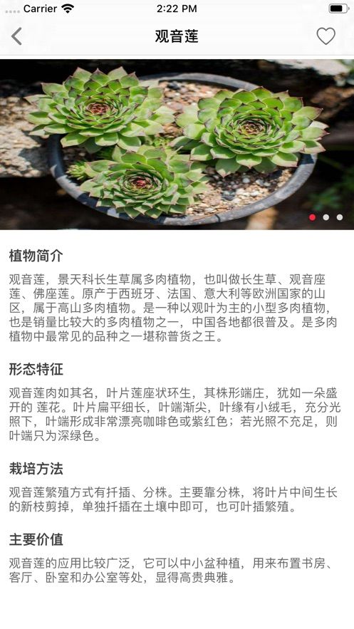 锦花阁app图1