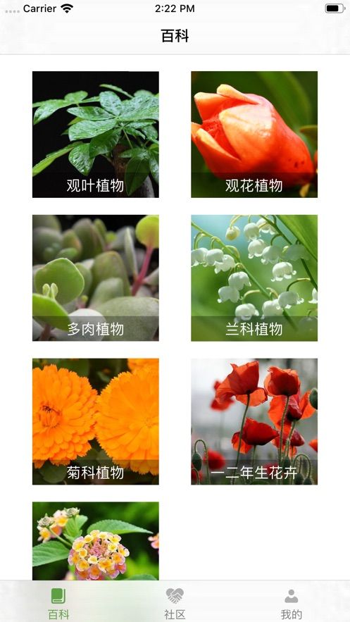 锦花阁app图3