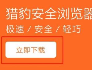 如何下载猎豹浏览器？下载猎豹浏览器的方法图片4