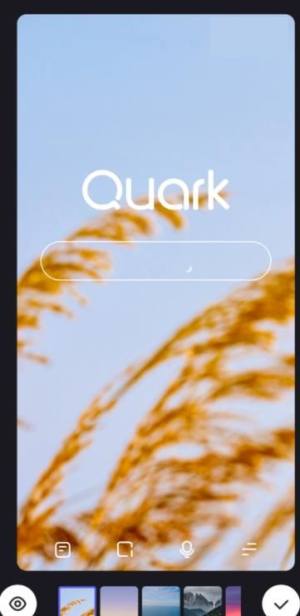 夸克浏览器可以修改壁纸吗？在夸克浏览器安卓版的主页中更改壁纸的方法图片5