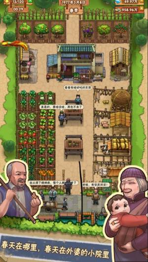 外婆的小农院游戏图3