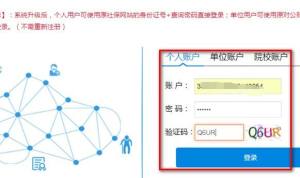 社保缴费凭证在网上怎么打印？如何进行操作图片1