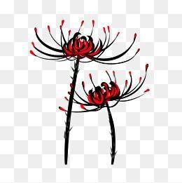 曼珠沙华的花朵符号网名四字复制软件app图片1