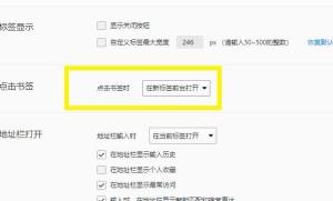 浏览器如何设置在新的页面加载书签？设置在新的页面加载书签的方法图片6