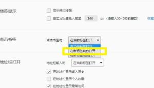 浏览器如何设置在新的页面加载书签？设置在新的页面加载书签的方法图片5