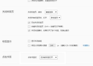 浏览器如何设置在新的页面加载书签？设置在新的页面加载书签的方法图片4