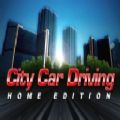 citycardriving手机版