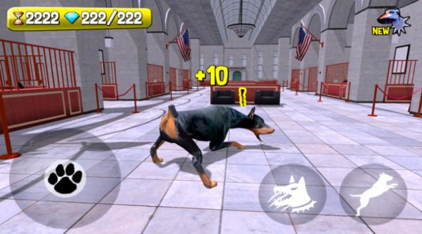 警犬追捕模拟器游戏图2