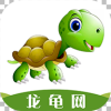 龙龟网app安卓版 v1.0