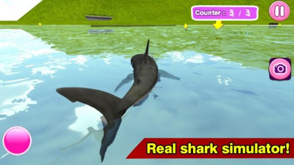 真实鲨鱼模拟器游戏图2