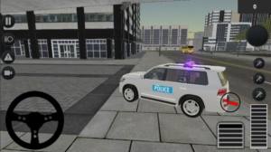 警察驾驶培训模拟器游戏图3